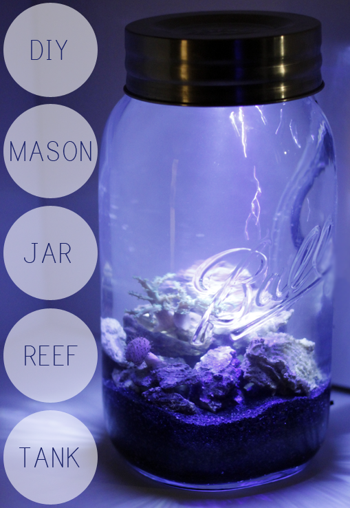 Diy Mason Jar Aquarium